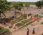 Ending Hunger, One Household Farm at a Time