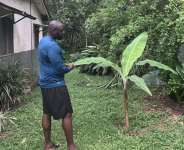 Rashad McCrorey at Aburi Botanical Gardens living the African Dream