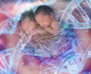The birth of Lulu and Nana