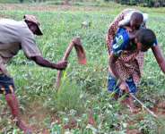 Partnership Is Key To Agricultural Financing In Ghana