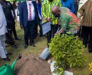 Green Ghana Day: Don’t plant trees too close to roadside – NRSA to Ghanaians