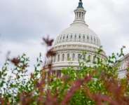 The US Capitol, June 8, 2026, Washington. -  Mariam Zuhaib, AP