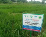 AfDB excites Nigerian youth with new irrigation technologies for dry season farming