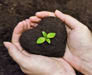 wastes composting