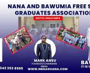 Why is NDC so obsessed with Free SHS?