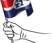 Rebuilding from the Ashes: Why a Top-Down Electoral Approach is the NPP’s Strategic Imperative