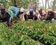 A Nation on the Brink: Peasant Farmers Warn of Impending Poor Harvests