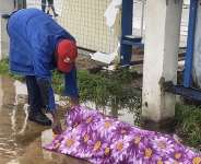 TMA, Police probe death of unidentified man found at assembly premises