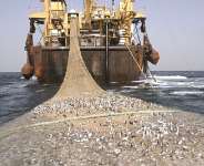 Ghana given second ‘yellow card’ warning from EU over illegal fishing