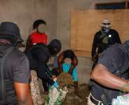 NACOC dismantles cannabis production hub in Volta Region, arrests 3