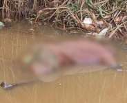 Unidentified man found dead along riverbank at Abuakwa after heavy rainfall