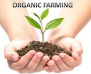 organic farming