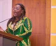 Health equity cannot solely depend on donors — Nana Oye Bampoe Addo