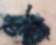 Amenfi East: Suspected thief burnt to death