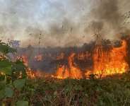 A controlled, preventive fire clears dry fuel near a village in eastern Angola. - Source: Luisa Escobar Alvarado