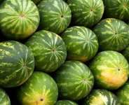 Bongo: 12 individuals hospitalized at St. Clement Hospital for consuming watermelon