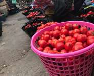 A/R: Kumasi tomato traders push for revival of local tomato industry