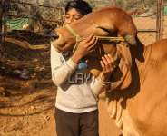 Dhyan Foundation: A Global Beacon of Compassion and Sustainable Change