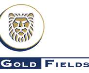 Arise Ghana urges govt to reject Gold Fields lease renewal