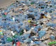 Let’s Beat Plastic Pollution!