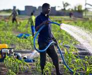 The $3.5 Billion Bet on Ghanas Soil: Why the AgriConnect Compact Could Transform Farming Forever