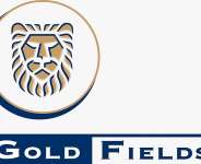Delay in Gold Fields Lease Renewal Scaring Investors — CEMSE Boss Warns Government