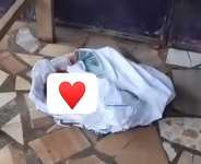 Abandoned newborn baby found near gutter at Agona Swedru Woaraba