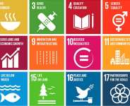 The International Day Against Drugs and the Sustainable Development Goals