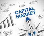 Africa’s Capital Markets must learn to price Vision too