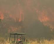 Spain sweltered through its hottest summer on record last year, contributing to destructive wildfires across several regions -  MIGUEL RIOPA, AFP