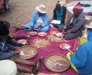 Smallholder farmers sorting seeds of small grains in Chipinge, Zimbabwe. -  FAO