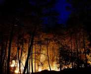 A wildfire burns in Noisy-sur-Ecole near Fontainebleau, southern Paris, France, July 12, 2026 -  Benoit Tessier, Reuters