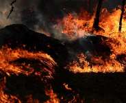 Two people have been arrested on suspicion of starting the blaz in Fontainebleau forest, which the interior minister says has not yet been contained. -  Stphane Mah / REUTERS