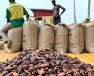 Majority alleges NPP govt misused ¢600million earmarked to boost cocoa production