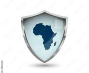 Africas Shield In A More Lawless World