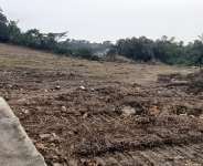 Veterinary Services Department to sue Tarkwa Municipal Assembly over encroachment