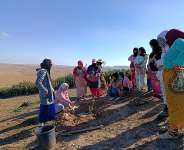 Enhancing skills in tree planting with members of a cooperative in Morocco (photo by the High Atlas Foundation, 2024).