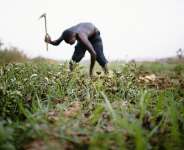 Our Rural Poverty Story Must Change!