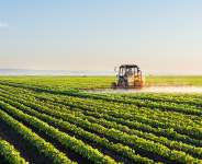 Agriculture: The Neglected Goldmine in Africa