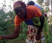 Seekewa Uses Vouchers To Support African Farm Projects