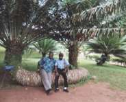The Beautiful Aburi Botanic Garden of Ghana