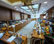 Expert petitions Council of State over proposed Gold Fields lease renewal rejection