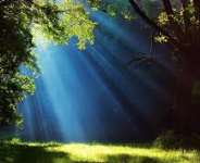 The Special Light