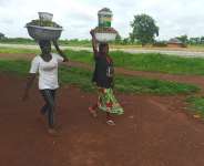 Women Shea Pickers from farm