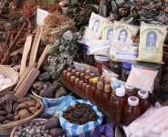 Herbal Medicine Practice, The Shortcomings Of The Professional Association (Part one)