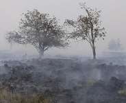 A wildfire in the Hautes Fagnes (High Fens) nature reserve in eastern Belgium scorched vast swathes of land on August 15, 2026. -  Laurent Cavenati, AFP