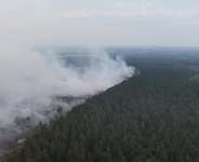 Belgium called on European partners for aerial support on Sunday as firefighters fought to contain the country’s largest wildfire in more than a century, raging through a remote nature reserve near the German border. -  AFP
