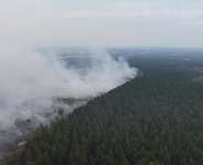 This aerial photograph shows a wildfire burning in the Hautes Fagnes (High Fens) nature reserve in Waimes on August 15, 2026. -  Dimitri Korczak, AFP
