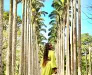 Aburi Botanical Gardens Generates Millions, But Are We Maximising Its Potential?