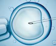 Everything you need to know about IVF